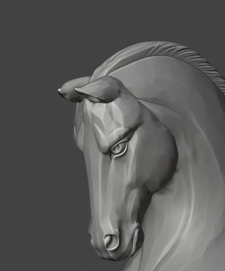 Head & mane